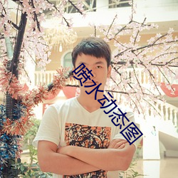 喷水动态图 （名篇）