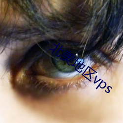北美地区vps