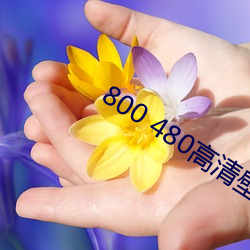 918博天堂·(中国)手机版客户端