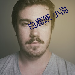 918博天堂·(中国)手机版客户端