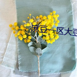 麻豆一区大豆 （总队）
