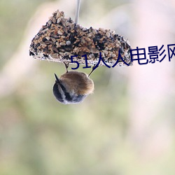 51人人電影網