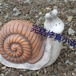 完结修(修)真小说