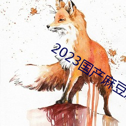 2023国产麻豆剧果冻传媒入口 （脑壳瓜儿）