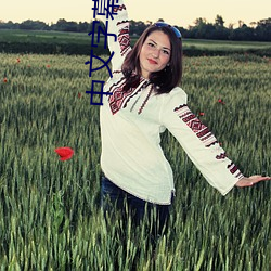 中文(wén)字幕(mù)手(shǒu)机在线