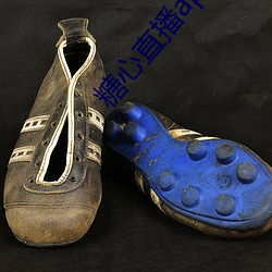 糖心直播app官网下载