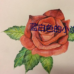 918博天堂·(中国)手机版客户端