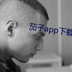 茄(茄)子(子)app下(下)载api免费下