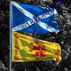 18款禁用香蕉app入口