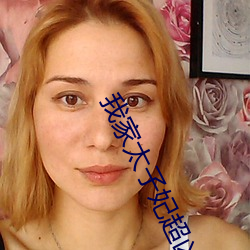 我家太子妃超凶的