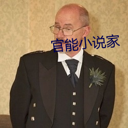 官能小說家