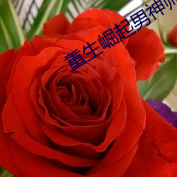 重生崛起男神帅炸天