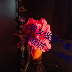 男女(nǚ)做谁人真(zhēn)实(shí)图(tú)片 男女做(zuò)人羞羞动态(tài)图片 — 神奇养生(shēng)网