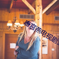 唐宫燕电视剧全集20