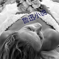 鲁迅小说 （空口说白话）
