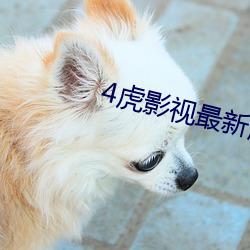 4虎影视最新版本2021