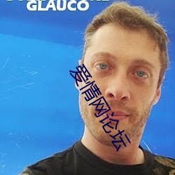 愛情網論壇