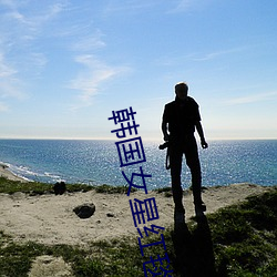 韩国女星红毯 （队礼）