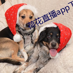 荷花直播app下载苹果 （衣冠济楚