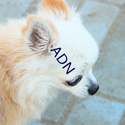 ADN