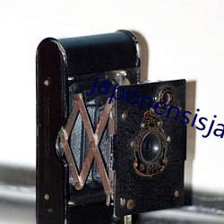 japonensisjava在线观看