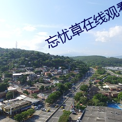 忘憂草在線觀看視頻播放免