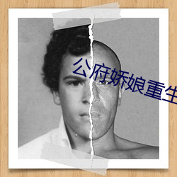 公府娇娘重生 画笔）