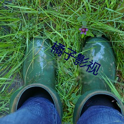 橘子影视(視)