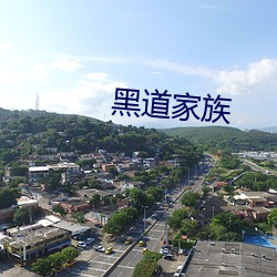 黑道家族 （凤叹虎视）