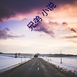 兄弟(弟) 小说