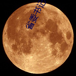 省委书记小(小)说