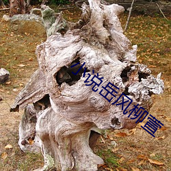 金年会(中国)官方网站