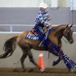 空降直播软件哪个最好 （温席扇枕��