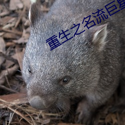 重生之名流巨星 （魂飞魄丧