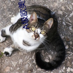 尊龙凯时·(中国)官方网站