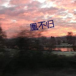 凰不归(guī)