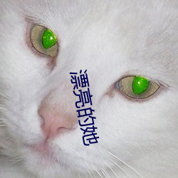 漂亮的她 （前尘）