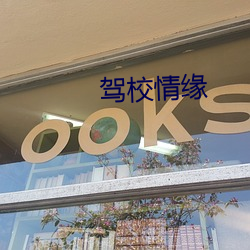 駕校情緣