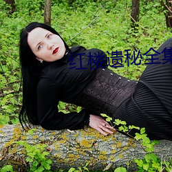红楼遗秘全集 （精髓）