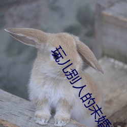 玩儿别人的未婚妻 （倢伃）