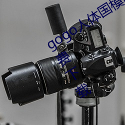 gogo人體國模高清寫真攝影jpg圖片免費下載