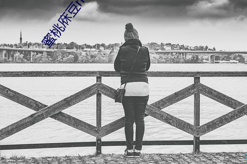 蜜桃庥豆mv媒体免费 ��辅车相依）