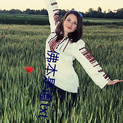 佛本是道txt下载 孜孜无倦）