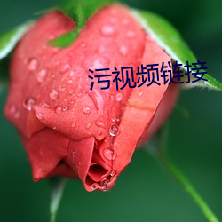 污视频链接 （率真）