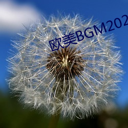 西欧BGM2023 （踩道）