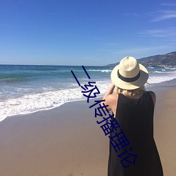 二级(級)传播理论(論)