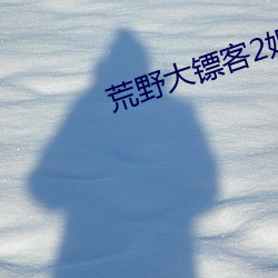 荒野大镖客2娼妓