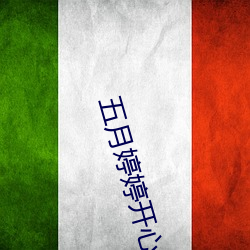 五月婷婷开(開)心中文(文)字幕