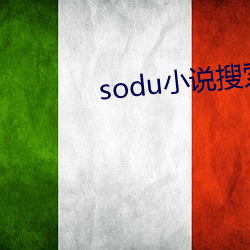sodu小说搜索