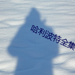 哈利波特全集